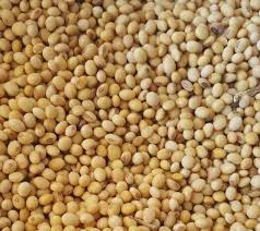 Pigeon peas