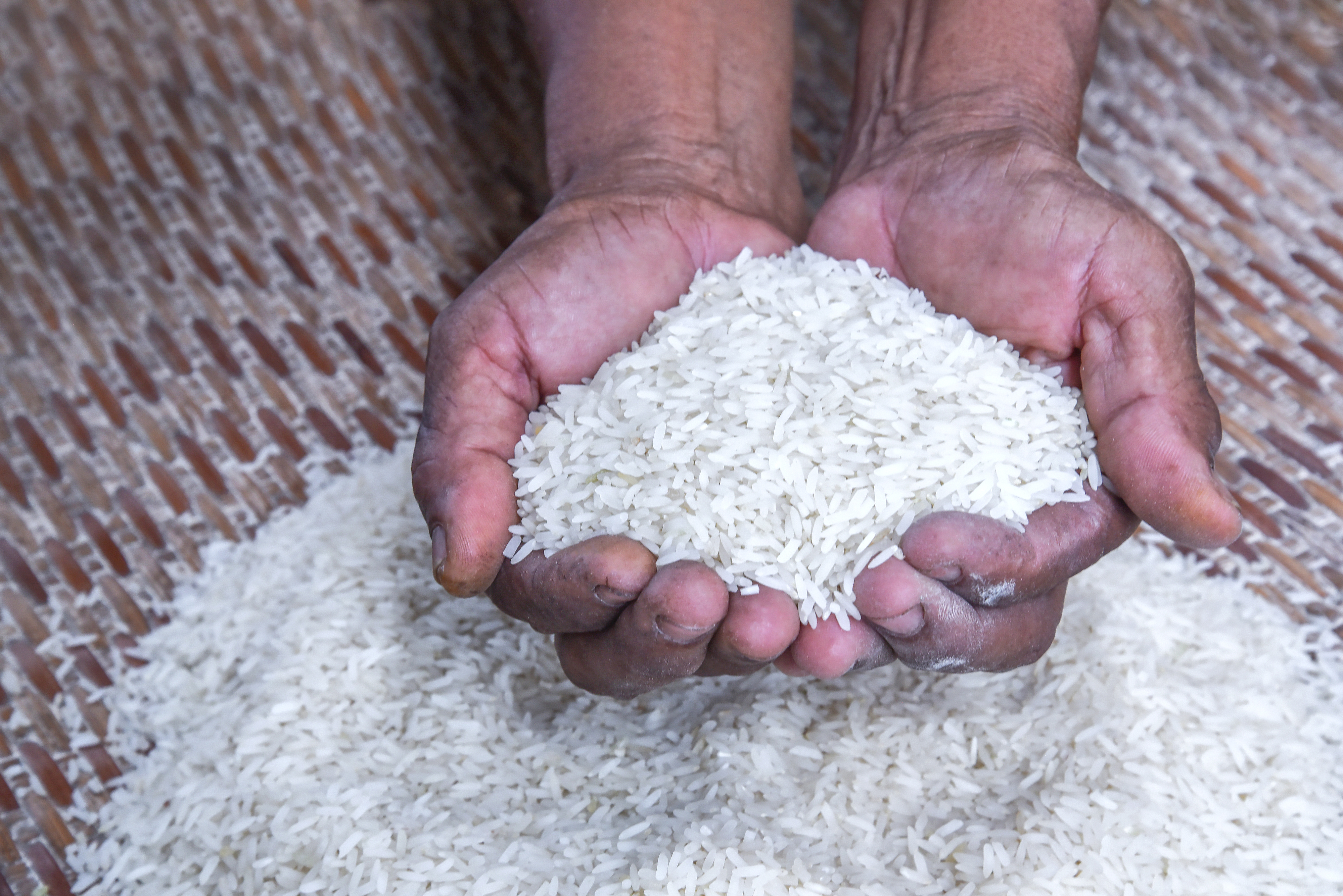 Rice Markets Across Africa Face Supply Pressure as Import Dependence Remains High