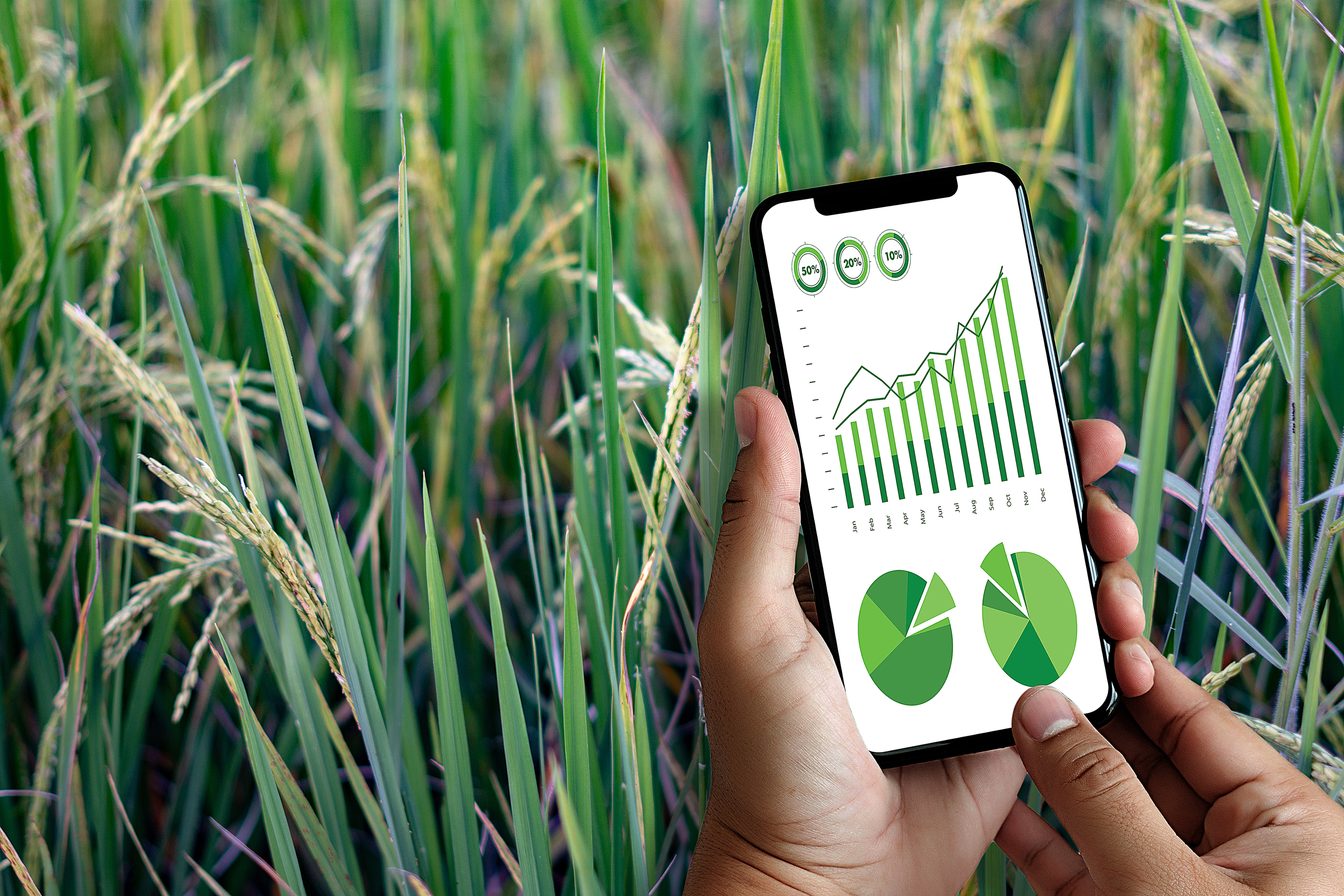 Information Is the Most Valuable Commodity in Crop Trading And the Least Visible