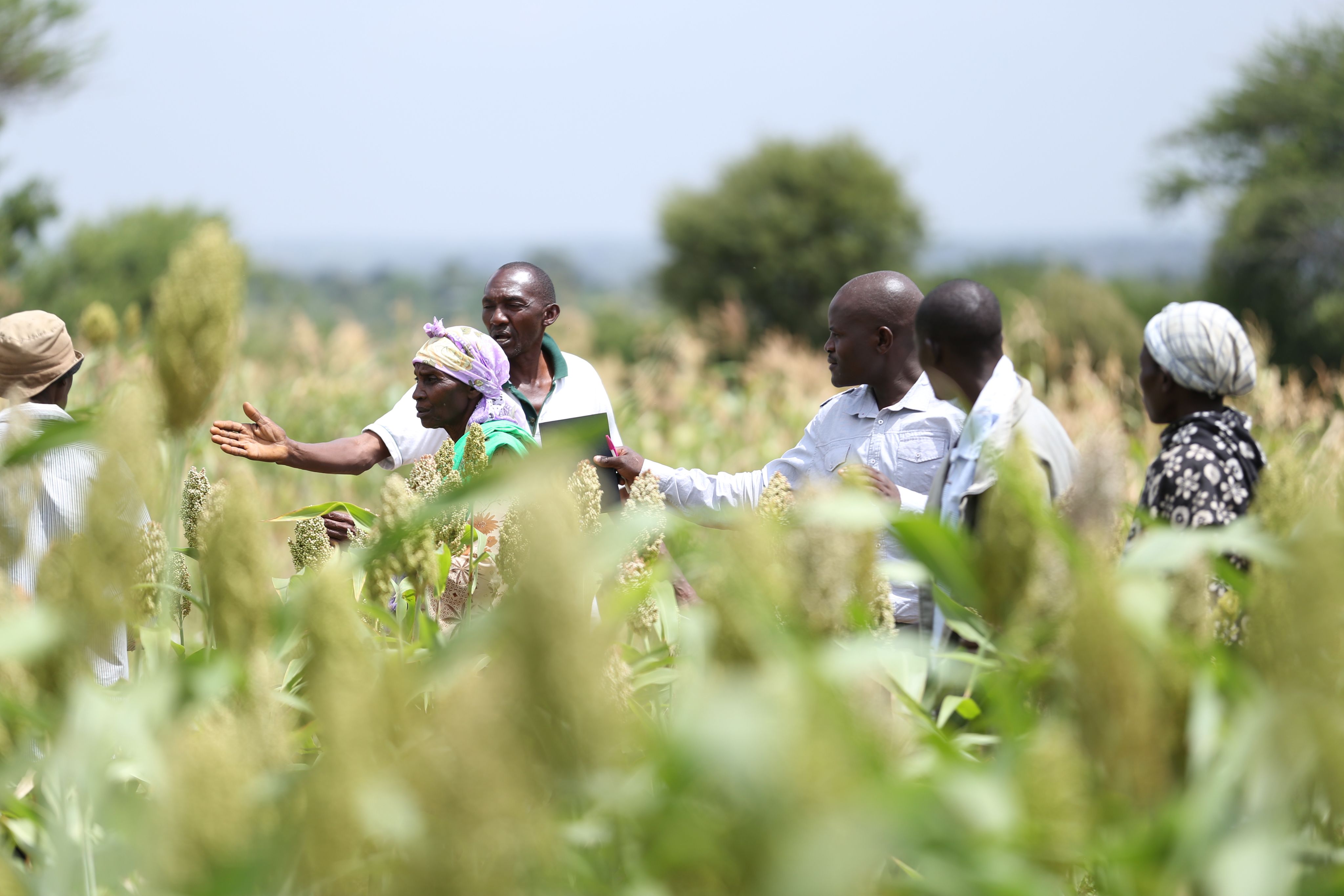 Effort Doesn’t Move Markets Coordination Does